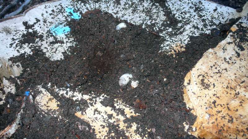 bild05