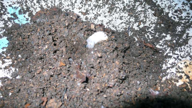 bild08