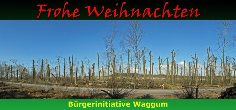 Weihnachtsgruss 2011